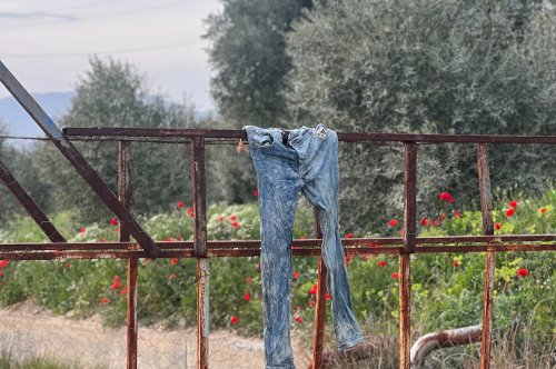 Green Jeans: Examining the Environmental Impact of Buying Pre-Owned Denim